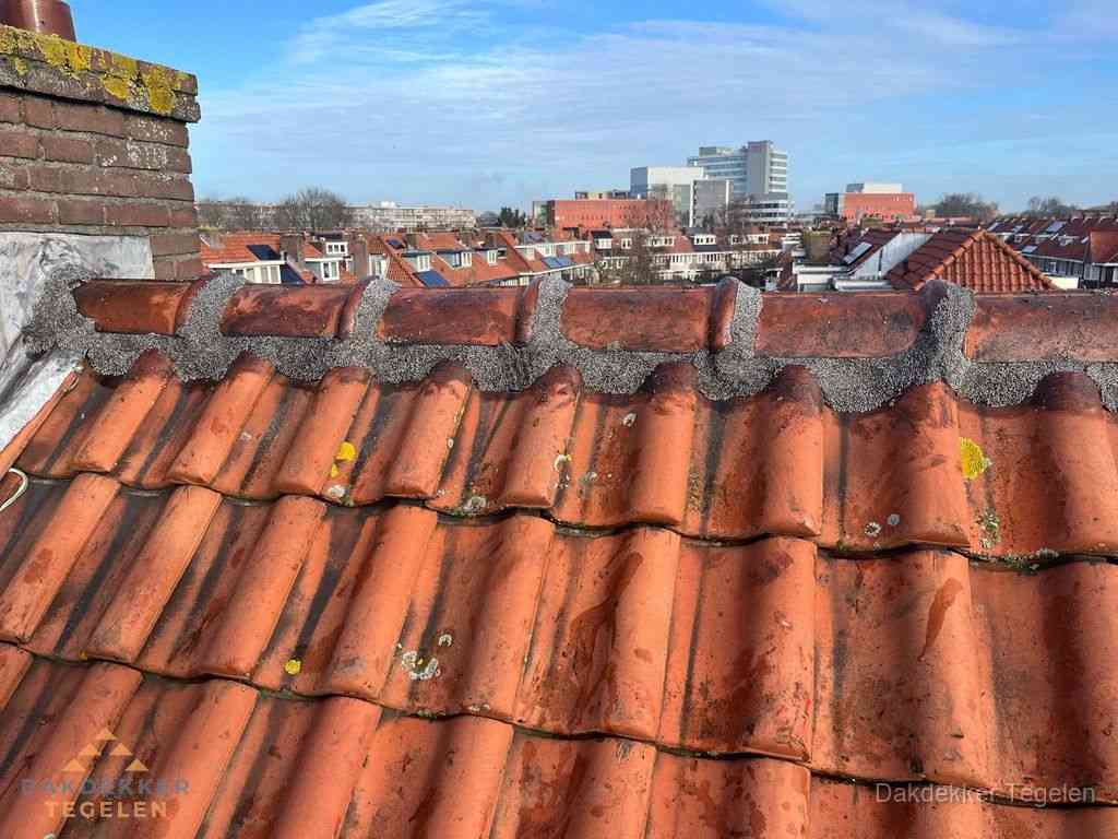Nieuw bitumen plat dak met uitzicht over woonwijk in Tegelen