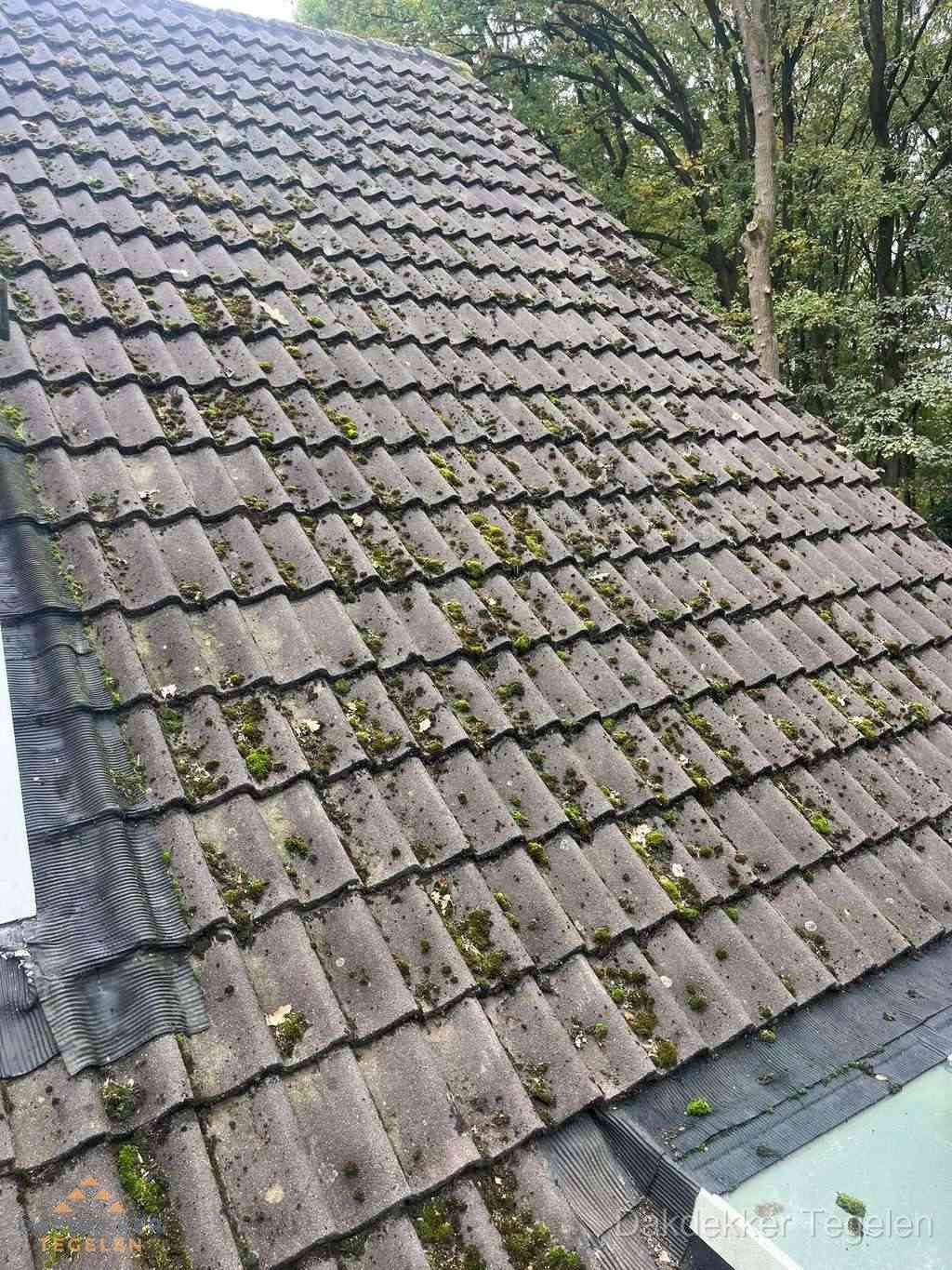 Verweerd pannendak met mosgroei dat renovatie nodig heeft in Tegelen