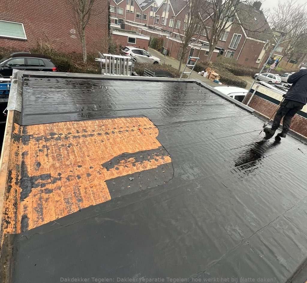 Dakleer Reparatie Tegelen