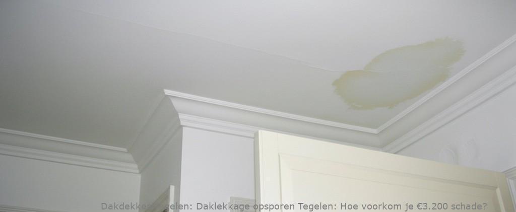 Daklekkage Opsporen Tegelen 1