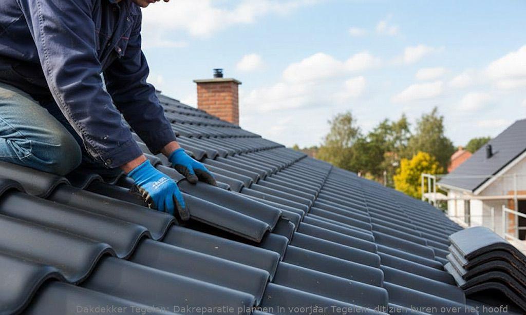 Dakreparatie Plannen In Voorjaar Tegelen