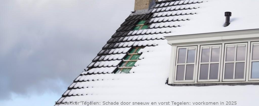 Schade Door Sneeuw En Vorst Tegelen