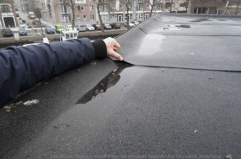 Voorkomen Daklekkages Tegelen